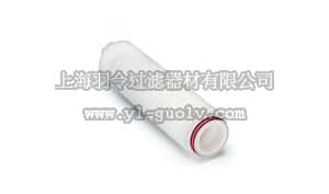 sartorius,赛多利斯,5622807A1,Sartoclean CA Cartridge