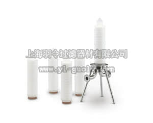 sartorius,赛多利斯,5182506T2-LG,Sartofluor 滤芯