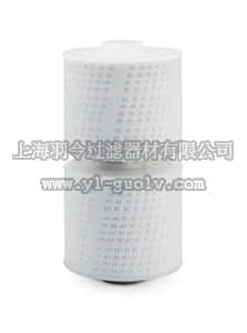 sartorius,赛多利斯,5594007J1-GA,JumboStar Sartopure GA 滤芯