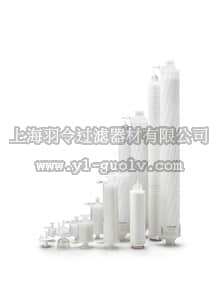 sartorius,赛多利斯,5488358M3-YY,Sartoguard GF T-MaxiCaps