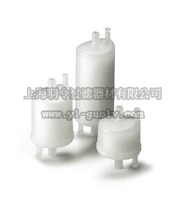 sartorius,赛多利斯,5441307H0G-SO,Sartopore 2 Gamma 灭菌囊式滤器