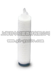 sartorius,赛多利斯,5232507H0-P,Sartobran P 滤芯, 0.1微米
