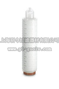 sartorius,赛多利斯,54A2558N1,Virosart Max 10" Standard Filter Crtdg