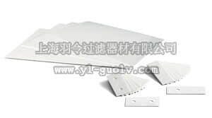 sartorius,赛多利斯,FT-2-345-580580,过滤板