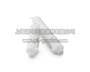 sartorius,赛多利斯,293C4-P13AFFF-V,Sartoclear P MaxiCap
