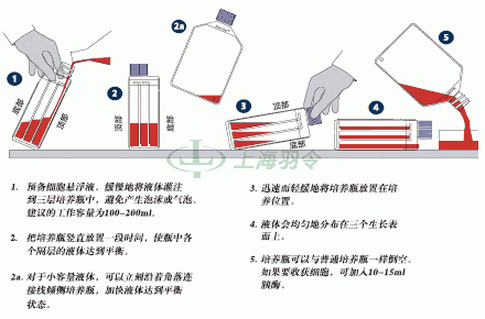 thermo fisher,赛默飞世尔