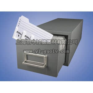 thermo fisher,赛默飞世尔,T_70122-267369,载玻片托架柜 CABINET SLIDE FILING 2 DRAWER