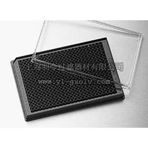 thermo fisher,赛默飞世尔,T_3013822,384孔黑色低容量带盖板  PLT,384WL,LV,BLACK SOLID,TCT,W/LID,S,BK,10/50