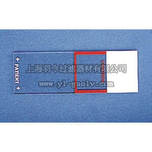 thermo fisher,赛默飞世尔,T_70122-042910,CONTROL SLIDE RED CN 144/PK