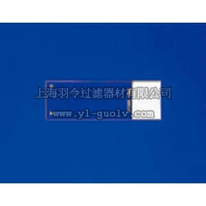 thermo fisher,赛默飞世尔,T_7011518848,载玻片，带金色标示，大包装，14 PLUSGOLD FRZN TISS SLDS 144/PK