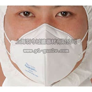 thermo fisher,赛默飞世尔,T_30563201,JACKSON SAFETY™ R10自吸过滤式防颗粒物呼吸器 JACKSON SAFETY* R10 Mask KN90，25/PK，16PK/CS