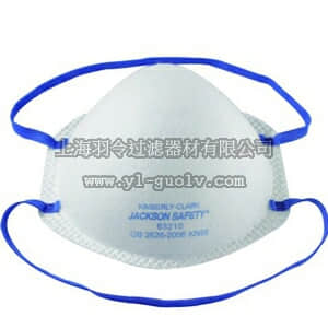 thermo fisher,赛默飞世尔,T_30563210,JACKSON SAFETY™ R10自吸过滤式防颗粒物呼吸器 JACKSON SAFETY* R10 Mask KN95，20/PK，8PK/CS