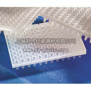 thermo fisher,赛默飞世尔,T_3016551,0.2 ml 8排PCR管 PCR PLT,96WL,NAT,PP,WO/LID,NS,BK,25/25