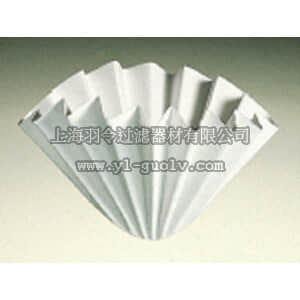 thermo fisher,赛默飞世尔,T_7010979014D,凹槽式定性圆形滤纸 FIL PAP P8 FLUTED 12.5CM 100PK