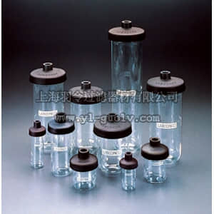 thermo fisher,赛默飞世尔,T_1087540000,冻干瓶 40 ml Complete Fast-Freeze Flask