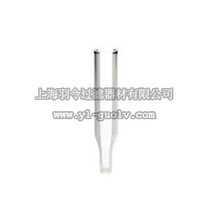 thermo fisher,赛默飞世尔,C4010-629L,TARGET 锥形 玻璃 内插管  TARGET CONICAL GLASS INSERT