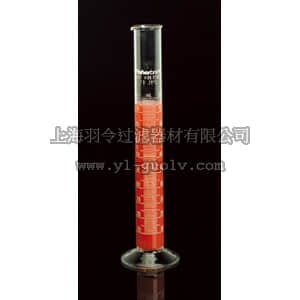 thermo fisher,赛默飞世尔,T_70108-555G,Fisherbrand 双刻度B级量筒 1000mL CYLINDER WHITE LINE 1000ML