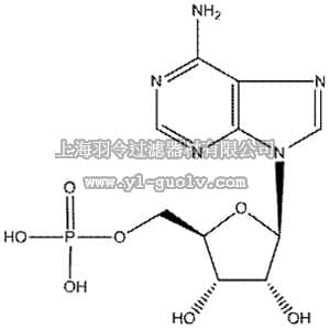 thermo fisher,赛默飞世尔,102790250,Adenosine 5'-monophosphate, 99% 25GR
