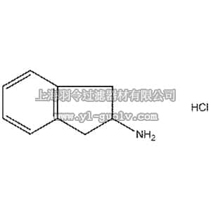 thermo fisher,赛默飞世尔,103860010,2-Aminoindan hydrochloride, 98% 1GR