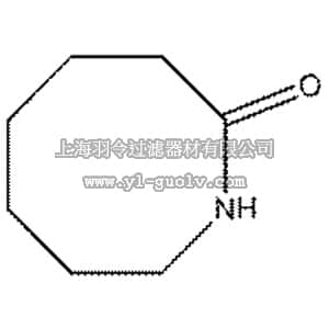 thermo fisher,赛默飞世尔,105080100,2-Azacyclooctanone, 97% 10GR