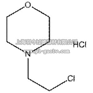 thermo fisher,赛默飞世尔,109200050,N-(2-氯乙基)吗啉盐酸盐 N-(2-Chloroethyl)morpholine hydrochloride, 99% 5GR
