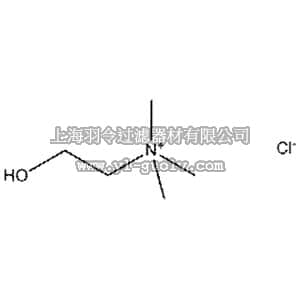thermo fisher,赛默飞世尔,110290010,氯化胆碱(99+%) Choline chloride, 99% 1KG