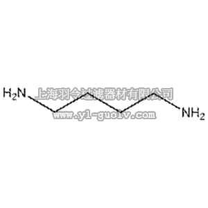 thermo fisher,赛默飞世尔,112120250,1，4-丁二胺，99% 1,4-Diaminobutane, 99% 25GR