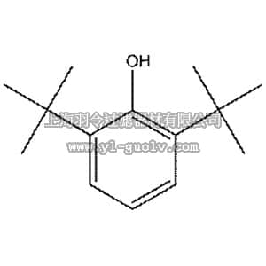 thermo fisher,赛默飞世尔,113000010,2，6-二叔丁基苯酚 2,6-Di-tert-butylphenol, 99% 1KG