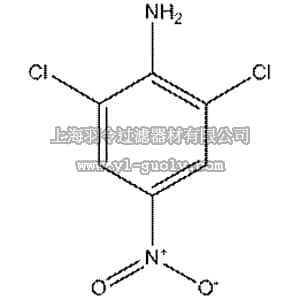 thermo fisher,赛默飞世尔,113495000,2,6-Dichloro-4-nitroaniline, 95% 500GR