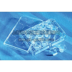 thermo fisher,赛默飞世尔,T_3013402,12孔 Transwell聚碳酸酯膜嵌套 TW,12MM,3.0UM,TCT,PC,S,12PL/48