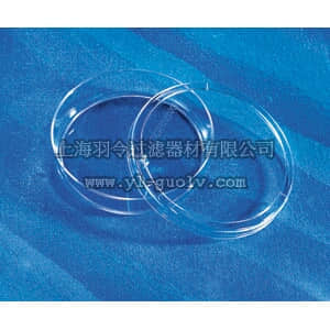 thermo fisher,赛默飞世尔,T_301430293,100 mm 细胞培养皿 DISH,100X20MM,TCT,PS,S,BK,10/480