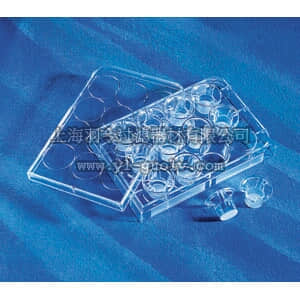 thermo fisher,赛默飞世尔,T_3013401,12孔 Transwell聚碳酸酯膜嵌套 TW,12MM,.4UM,TCT,PC,S,12PL/48