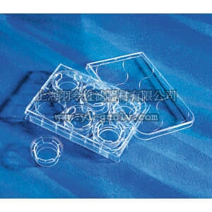 thermo fisher,赛默飞世尔,T_3013450,6孔 Transwell聚酯透明膜嵌套 TW CLR,24MM,0.4UM,TCT,PE,S,6PL/24