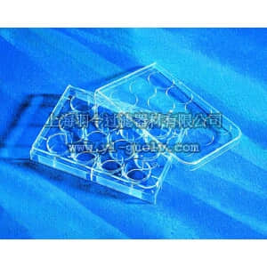 thermo fisher,赛默飞世尔,T_3013513,12孔透明平底培养板 PLT,12WL,FB,TCT,W/LID,S,IND,1/50
