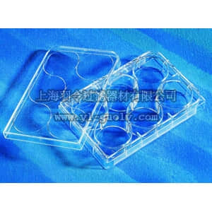 thermo fisher,赛默飞世尔,T_3013516,6孔透明平底培养板 PLT,6WL,FB,TCT,W/LID,S,IND,1/50