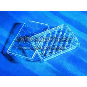 thermo fisher,赛默飞世尔,T_3013524,24孔透明平底培养板 PLT,24WL,FB,TCT,W/LID,S,IND,1/100