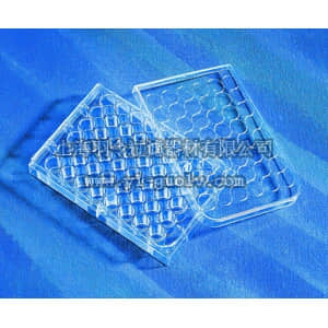thermo fisher,赛默飞世尔,T_3013338,48孔培养板 PLT,48WL,CellBIND SURFACE