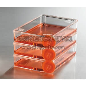 thermo fisher,赛默飞世尔,T_3013816,100cm 透气盖角度颈培养瓶 FLASK,100cm2,LOW PROFILE,TCT,VENTED,ANGLED NECK,S,BK,6/60