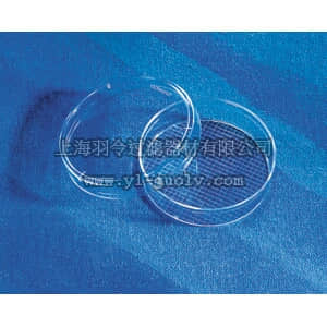 thermo fisher,赛默飞世尔,T_301430196,60 mm 细胞培养皿 DISH,60X15MM,GRID,TCT,PS,S,BK,20/500