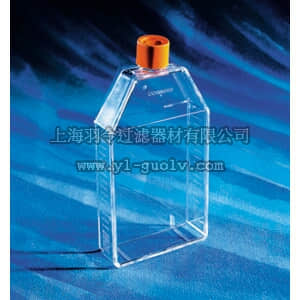 thermo fisher,赛默飞世尔,T_301430823,150cm 密闭盖培养瓶 FLASK,150CM,CANT,PLG,PS,S,BK,5/50