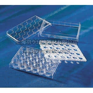 thermo fisher,赛默飞世尔,T_3013397,24孔 HTS Transwell膜嵌套 TW,HTS,6.5MM,0.4UM,S,BK,12/12