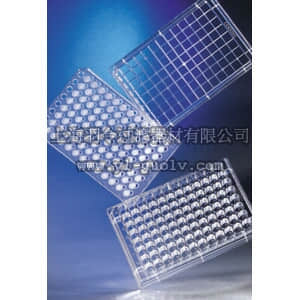 thermo fisher,赛默飞世尔,T_3013380,96孔 HTS Transwell组织培养系统 TW,96WL,HTS,PET MEMBRANE,W/LID,RESERVOIR,RECVR,S,IND,1/1