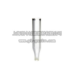 thermo fisher,赛默飞世尔,C4010-629,TARGET 玻璃 内插管   TARGET GLASS INSERT,