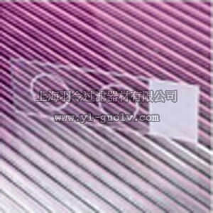 thermo fisher,赛默飞世尔,T_70122-267104,FSH MCR FLSLDS SGL 15MM 144/PK