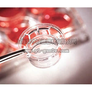 thermo fisher,赛默飞世尔,T_3013452,6孔 Transwell聚酯透明膜嵌套 TW CLR,24MM,3.0UM,TCT,PE,S,6PL/24