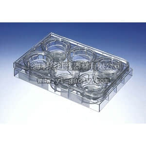 thermo fisher,赛默飞世尔,T_3013412,6孔 Transwell聚碳酸酯膜嵌套 TW,24MM,0.4UM,TCT,PC,S,6PL/24