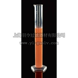 thermo fisher,赛默飞世尔,T_7010300734,FB GRAD CYL PMP 250ML 1EA