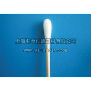 thermo fisher,赛默飞世尔,T_70123-400-116,FB APPL POLY 6 ST WD 1/EV C/PK