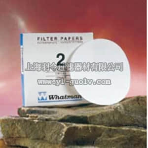 thermo fisher,赛默飞世尔,T_70109810G,Whatman 定性等级圆形或单张滤纸，等级2 直径150mm FLTR PPR GR2 15CM 100/PK