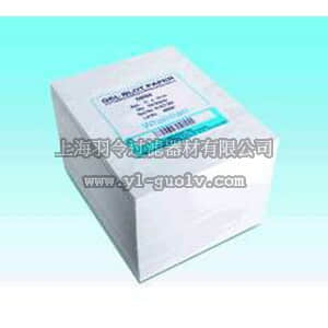 thermo fisher,赛默飞世尔,T_70109-301-143,Whatman GB003 等级印迹滤纸 7 × 10 cm BA85 PROT82MM5MMGRD50PK
